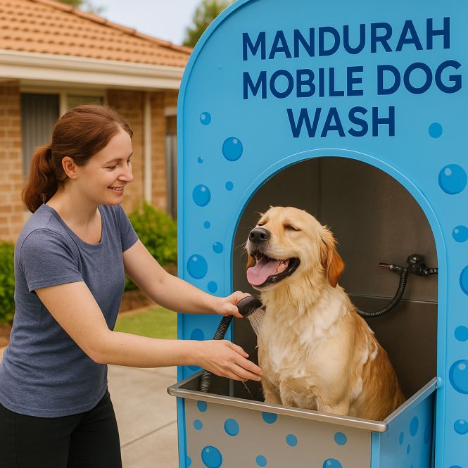 Golden retriever in a Mandurah mobile dog wash trailer