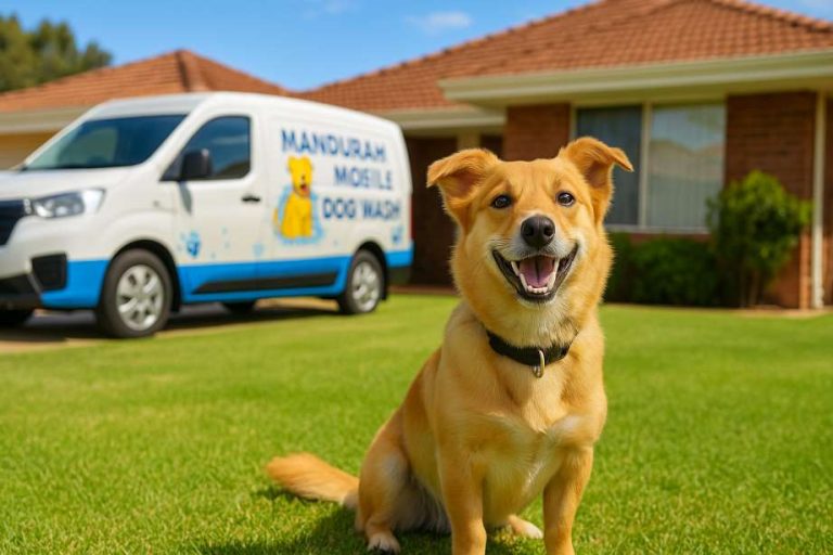 Happy dog with clean teeth after mobile dog wash in Mandurah