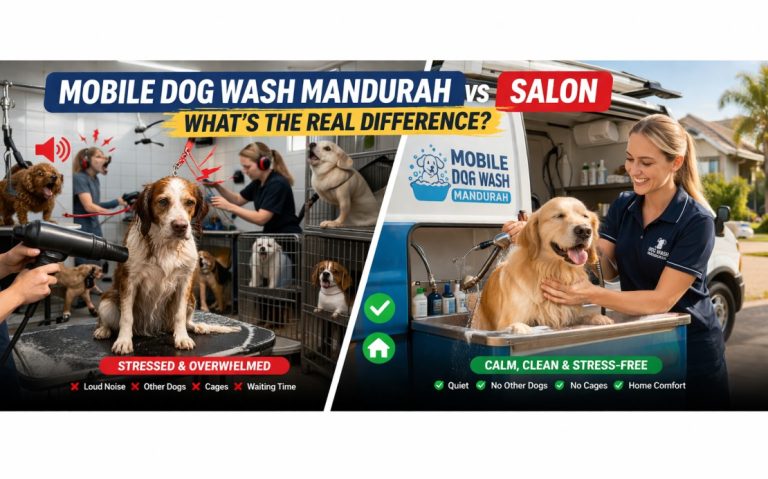 Mobile dog wash Mandurah compared to busy salon showing calm dog at home vs stressed dog in grooming salon